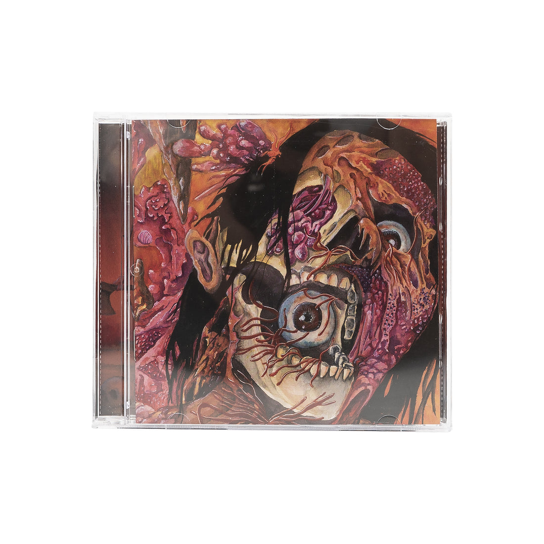BLCKHWK – DECOMPOSING ROTTING FLESH LP CDs