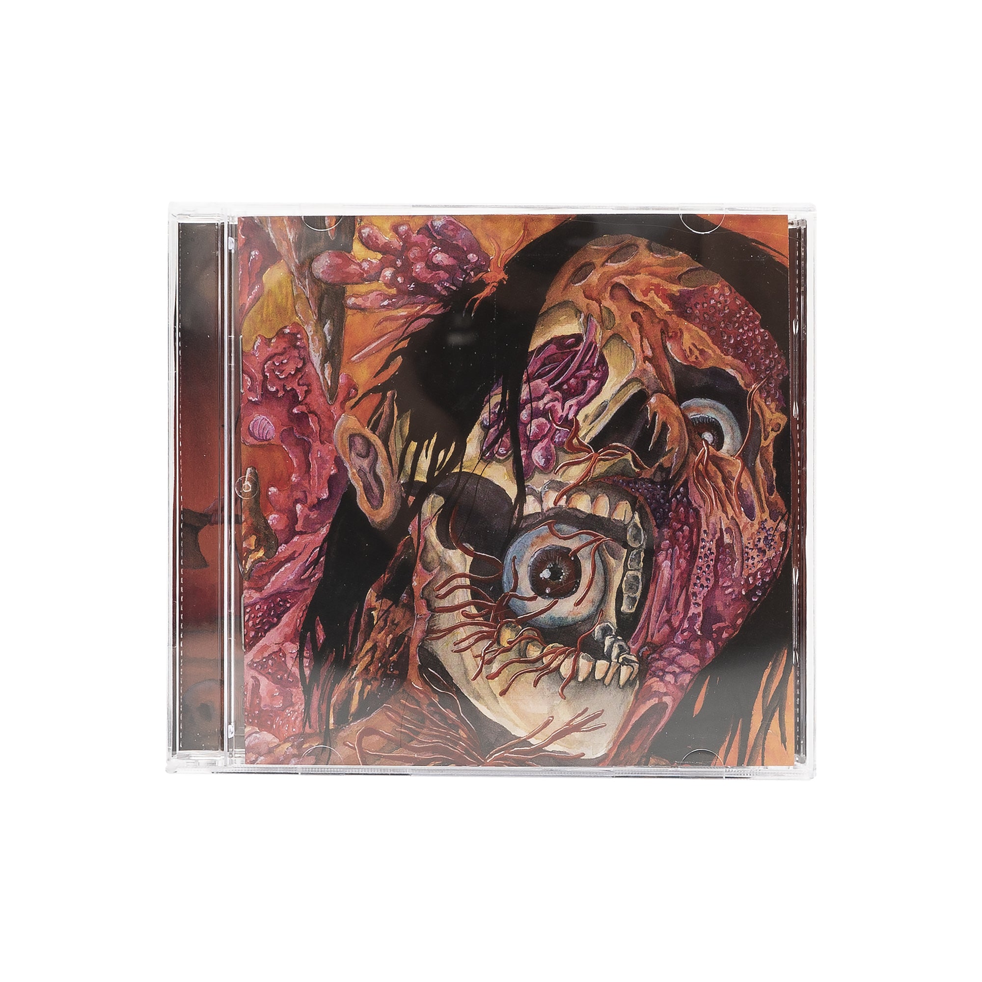 BLCKHWK – DECOMPOSING ROTTING FLESH LP CDs