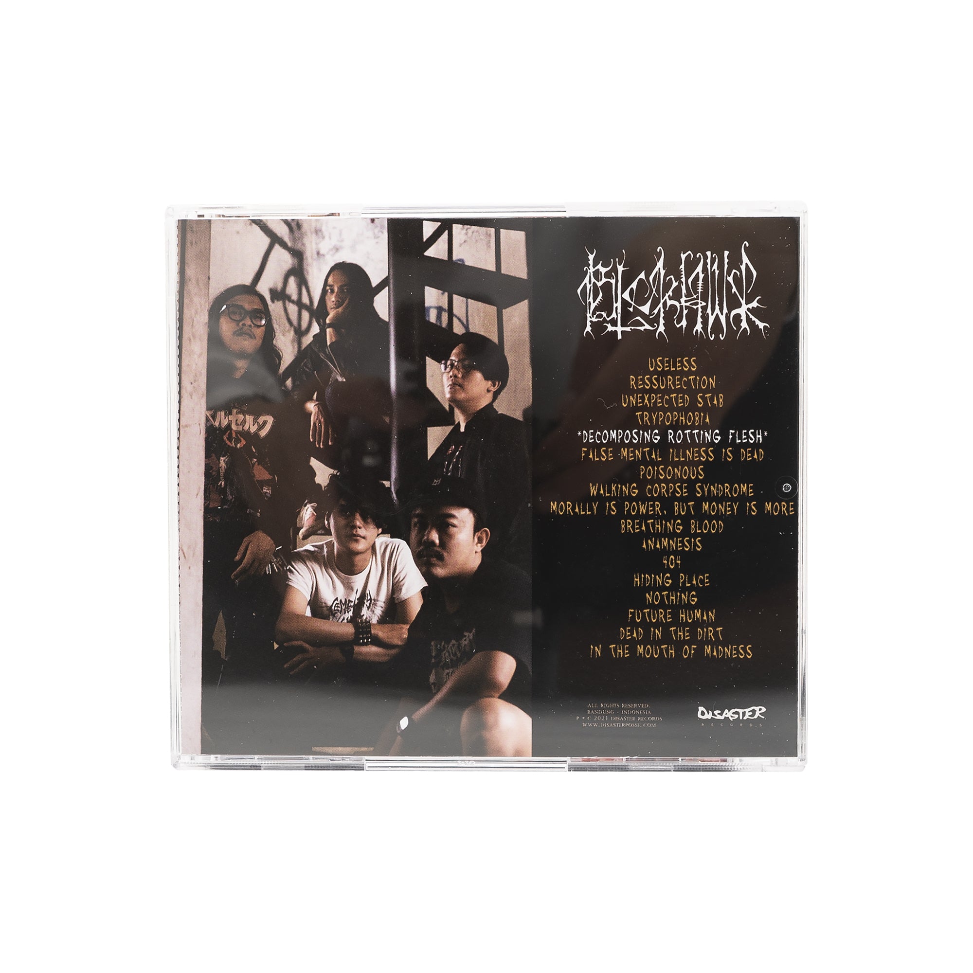 BLCKHWK – DECOMPOSING ROTTING FLESH LP CDs