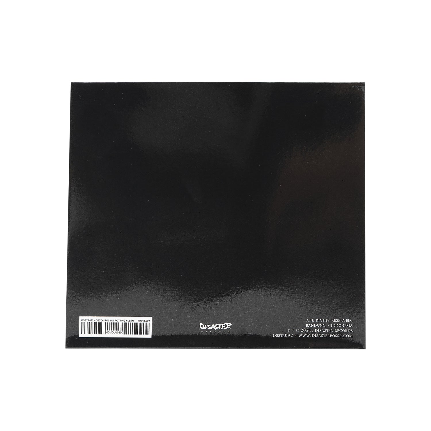 BLCKHWK – DECOMPOSING ROTTING FLESH LP CDs