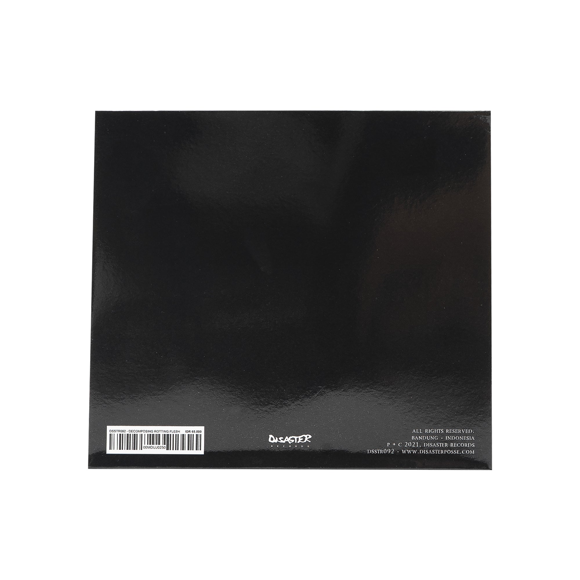 BLCKHWK – DECOMPOSING ROTTING FLESH LP CDs