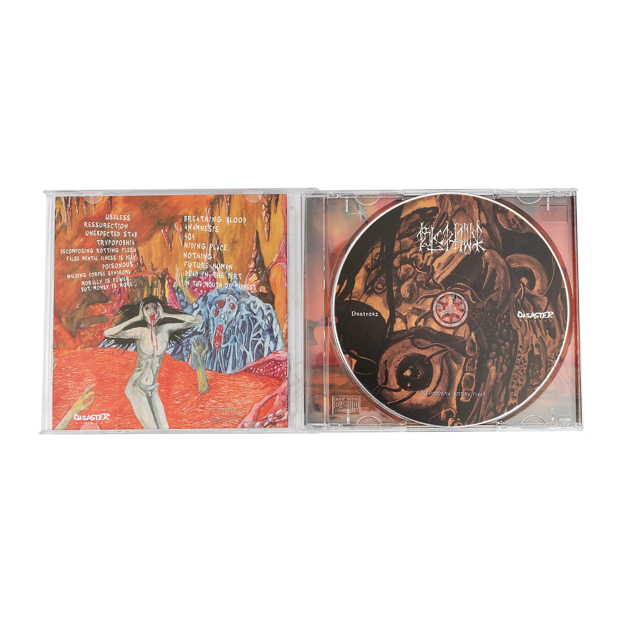 BLCKHWK – DECOMPOSING ROTTING FLESH LP CDs