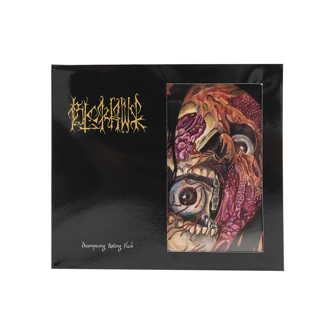 BLCKHWK – DECOMPOSING ROTTING FLESH LP CDs