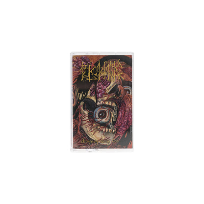 BLCKHWK - DECOMPOSSING ROTTING FLESH CASSETE