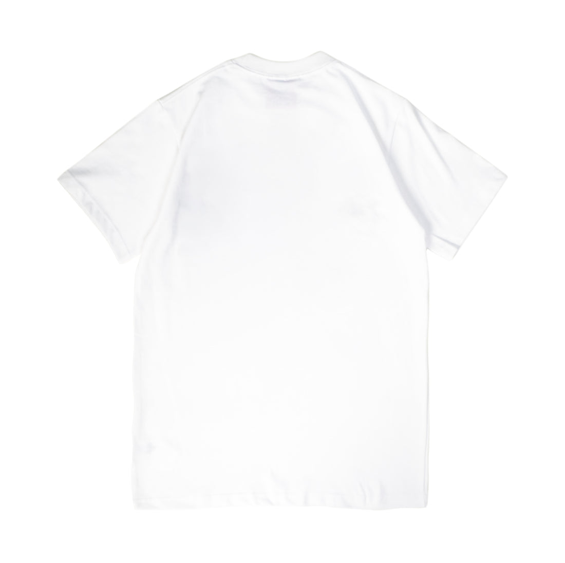 TESTING WHITE